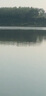 佳釣?zāi)嵝玛P(guān)東無結(jié)子線雙鉤鰱鳙成品線組綁好防纏大物魚鉤黑坑有刺4線2.0 曬單實(shí)拍圖