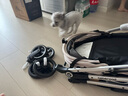 beberoad  T4寵物手推車(chē) 貓咪狗狗小型犬提籃車(chē)架一鍵折疊輕便外出小推車(chē) T4米色-固定座位一體折疊 曬單實(shí)拍圖