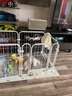 HELLOJOY狗狗玩具耐咬磨牙小狗玩具自己玩解悶神器寵物玩具 發(fā)聲沖鋒鴨 曬單實(shí)拍圖