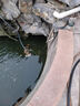 sobo魚(yú)池循環(huán)過(guò)濾器水泵戶外假山流水噴泉抽水吸水不銹鋼大流量潛水泵 【新一代】60瓦 流量2400升/3米揚(yáng)程 曬單實(shí)拍圖