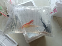 中國紅冷水淡水觀賞魚錦鯉魚活魚金魚小型好養(yǎng)紅鯉魚純種小錦鯉 6-8CM黑白黃紅【龍鳳】各一條 曬單實拍圖