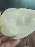紅香酥梨 新鮮梨子脆甜皮薄香梨當(dāng)季水果整箱 紅香酥梨帶箱8.5-9斤單果100g+ 曬單實(shí)拍圖