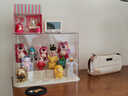 EACHY盲盒展示架收納盒透明防塵手辦玩具labubu泡泡瑪特展示盒-大號(hào) 曬單實(shí)拍圖
