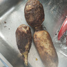 湖北洪湖粉藕蓮藕新鮮煲湯當(dāng)天現(xiàn)挖糯米藕桂花藕農(nóng)家特產(chǎn)蔬菜整箱 三斤裝 曬單實(shí)拍圖
