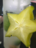 同瑞健 金銀花露飲料340ml*5瓶清涼茶飲品兒童植物飲料冰鎮(zhèn)解熱火鍋伴侶 金銀花露10瓶裝【低糖】 曬單實拍圖