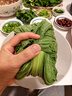 良知農(nóng)哥【順豐】東北新鮮白菜葉飯包大白菜葉子打包 新鮮蔬菜 10片菜葉+醬 空運 曬單實拍圖
