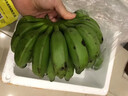 三萌果蔬廣西小米蕉【青蕉發(fā)貨收到需催熟】芭蕉新鮮水果香甜粉糯現(xiàn)摘現(xiàn)發(fā) 5斤精品果【香甜軟糯】?jī)?.5斤 曬單實(shí)拍圖