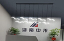 歐企吧臺(tái)燈收銀臺(tái)酒店大堂前臺(tái)吊燈裝飾造型燈簡(jiǎn)約奶茶店餐廳長(zhǎng)條燈飾 9只海鷗長(zhǎng)2米智能語(yǔ)音+無(wú)極調(diào)光 曬單實(shí)拍圖