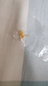周六福5G工藝鏤空小金珠黃金耳釘女七夕禮物計價A0913609 一對 約1.81g  曬單實拍圖