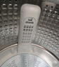 海爾（Haier）波輪洗衣機(jī)小型全自動(dòng)懶人家用 家電國家補(bǔ)貼20% 以舊換新 一級(jí)能效宿舍出租房 XQB80-Z10D0單脫水 曬單實(shí)拍圖