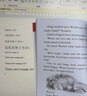 英文原版 馴龍大師1-24+史詩版最新出版全新指南 Dragon Masters 含配套音頻 學(xué)樂大樹系列 暢銷章節(jié)書橋梁書 英語學(xué)習(xí)課外閱讀讀物 6-15歲美國學(xué)樂出版社  小學(xué)教輔 曬單實(shí)拍圖