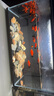 米家（MIJIA）小米米家智能生態(tài)魚(yú)缸還原自然生態(tài)補(bǔ)倉(cāng)一次三月無(wú)憂出差旅行必備 曬單實(shí)拍圖