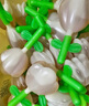 周十五益生菌蜂蜜露孕婦開(kāi)塞蜜露待產(chǎn)包用產(chǎn)后哺乳期兒童蜂蜜栓禮品10支 曬單實(shí)拍圖