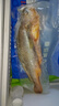 GUO LIAN國(guó)聯(lián) 三去黃花魚2條 共凈重2斤國(guó)產(chǎn)寧德東海大黃魚 海鮮水產(chǎn)生鮮 曬單實(shí)拍圖