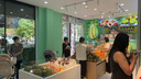 聚善緣財源廣進發(fā)財樹招財貓擺件店鋪收銀臺裝飾工藝品喬遷開業(yè)禮物 【京倉速發(fā)】中號長39寬14高32cm 曬單實拍圖