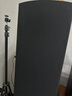惠威（HiVi）D60F 家庭影院前置音箱主音響2.0聲道木質(zhì)落地式hifi發(fā)燒級高保真電視HiFi音響 曬單實(shí)拍圖
