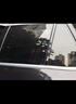 寶馬專(zhuān)用汽車(chē)窗簾 3系5系7系730LiX3X4X5x6車(chē)窗遮陽(yáng)簾隱私車(chē)用遮光簾磁吸防曬簾網(wǎng)紗隔熱擋 專(zhuān)車(chē)定制【前側(cè)+后側(cè)】4片 曬單實(shí)拍圖