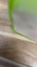 婦炎潔 私處洗液私密護理液抑菌止癢植物精粹女性私密護理液祛異味300ml 曬單實拍圖