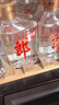 郎酒 小郎酒100ml經(jīng)典款 45度 兼香型歪嘴精釀白酒 6瓶 【一提裝】新老包裝隨機發(fā)貨 曬單實拍圖