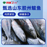 科迪清真鲅魚(yú)水餃420g/袋 蒸餃煎餃 早餐宵夜 清真鲅魚(yú)水餃3袋共1260g（新款） 曬單實(shí)拍圖