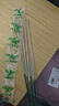 新祥香業(yè)蚊香新祥香業(yè)牌野外殺蚊王驅(qū)蚊家用戶外滅蚊香王30支/盒6盒裝 曬單實(shí)拍圖