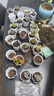 多肉植物組合盆栽陽臺桌面喜陽植物帶盆土果凍顏色 24顆隨機不重復(fù)【24八角盆和土】 曬單實拍圖