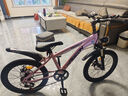 飛鴿兒童自行車(chē)6-12-18歲男女小孩學(xué)生中大童輕便山地車(chē)粉20寸變速輻 曬單實(shí)拍圖