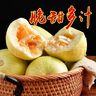 東北大地白糖罐香瓜香甜瓜新鮮水果農(nóng)家當(dāng)季現(xiàn)摘現(xiàn)發(fā)小脆甜瓜整箱 凈含量 4個(gè)【3斤左右】 曬單實(shí)拍圖