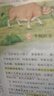 一本小學(xué)英語閱讀訓(xùn)練100篇四年級(jí)上下冊(cè) 2026版閱讀理解詞匯積累 語法點(diǎn)撥 全文翻譯 梯度訓(xùn)練 曬單實(shí)拍圖