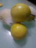 禾桂堂 廣西欽蜜9號黃金百香果特大新鮮水果當季 白香果原果漿整箱包郵 凈重4.5斤 【特大果裝】單果70-90g丨店長力薦 曬單實拍圖