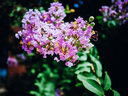 富士（FUJIFILM）XT30  XT4 XT5 XT200 XT100 20 復古二手微單相機 富士XT30 II機身 99成新 曬單實拍圖