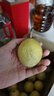 探味君 廣西欽蜜9號(hào)黃金百香果 新鮮水果白香果醬原漿整箱 生鮮 30個(gè)裝【單果30-50g】 曬單實(shí)拍圖