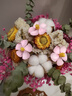 干花插花永生滿天星勿忘我雛菊花束花卉云南干花基地直發(fā)居家花藝 粉滿雛菊(不含花瓶） 干花包 曬單實拍圖