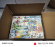 樂高（LEGO）積木 得寶10446三合一野生動物集合 新品 兒童益智玩具生日禮物 曬單實拍圖