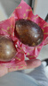 燕趙衡湖【河北特產(chǎn)館】烤鴨蛋 咸鴨蛋真空包裝即食熟鴨蛋 衡水特產(chǎn) 50g*20枚簡裝 曬單實(shí)拍圖