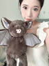 捉趣蝙蝠豬毛絨玩具可愛(ài)小公仔創(chuàng  )意玩偶抱枕桌伴陪睡娃娃女生生日禮物 蝙蝠豬 全長(cháng)約29cm 曬單實(shí)拍圖