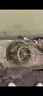 獅勒浮漂抗走水水滴魚(yú)漂棗核浮漂三色尾抗走水流水釣行程鯽魚(yú)野釣 R-05款【水滴型抗走水】 一支漂-管裝 曬單實(shí)拍圖