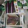 北蔬 蕓豆種子種苗豆角豇豆四季豆扁豆爬藤蔬菜種籽 九粒紅種子40g 曬單實(shí)拍圖
