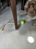 圓顱狗狗玩具自動遛狗球耐咬自嗨解悶寵物電動智能逗狗神器小狗跳 兩個(gè)裝【藍(lán)+黃】超長續(xù)航 曬單實(shí)拍圖