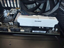 光威（Gloway）32GB(16GBx2)套裝 DDR4 3600 臺式機內(nèi)存條 天策系列 海力士CJR顆粒 適配黑神話悟空 曬單實拍圖