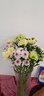 【七彩小雛菊】鮮切花混搭混色多頭鮮花插瓶水養(yǎng)花期長七夕禮物 隨機(jī)混色小雛菊50CM10枝 曬單實(shí)拍圖