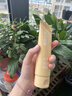 初夏堂美白防曬身體乳100g持久留香72小時(shí)香體潤膚乳補水保濕干燥皮膚 曬單實(shí)拍圖