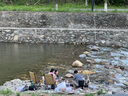 漁之源釣魚(yú)鋁合金可折疊伸縮抄網(wǎng)桿輕便攜撈魚(yú)網(wǎng)兜抄網(wǎng)頭套裝 0.9m30cm 曬單實(shí)拍圖
