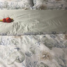 Harbor House美式海洋風(fēng)純棉貢緞四件套床上用品全棉床單被套床品套件 Nauti海洋之歌-全棉貢緞 60支 1.5米床 床單款 （被套200*230cm） 曬單實(shí)拍圖