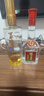 瀘州老窖特曲 濃香型白酒 52度 500ml*1瓶 單瓶裝 曬單實拍圖