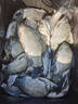 霸統低溫促食劑高濃度濃縮蚯蚓液釣魚(yú)小藥野釣黑坑水庫鯽鯉誘魚(yú)開(kāi)口劑 高濃縮蚯蚓液 曬單實(shí)拍圖