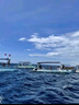 印尼電話卡Telkomsel巴厘島民丹島美娜多4G/5G高速流量手機(jī)上網(wǎng)卡 7天 36GB流量(含通話)+贈插頭 曬單實(shí)拍圖