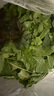 綠食者 新鮮薄荷葉 Mojito調(diào)酒茶飲泡水裝飾可食用薄荷葉香料蔬菜 500g 曬單實拍圖