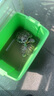德瑞水族巴西龜糧烏龜飼料黃金小幼龜開口顆粒寵物龜糧 水龜巴西龜大粒1200g 曬單實拍圖