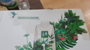 伊利金典有機純牛奶整箱 250ml*16盒 3.6g乳蛋白 禮盒裝 曬單實拍圖